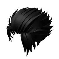 Slicked Back Stylish Black Hair Roblox hair