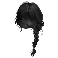 Braided Ponytail(Black) Roblox hair
