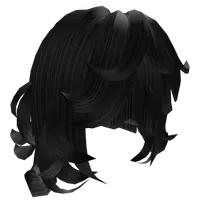 Fluffy Layered Shaggy (Black) Roblox hair